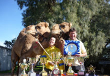 Camel hard-sell