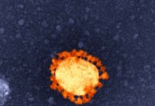 Backing world-leading research into COVID-19 treatments
