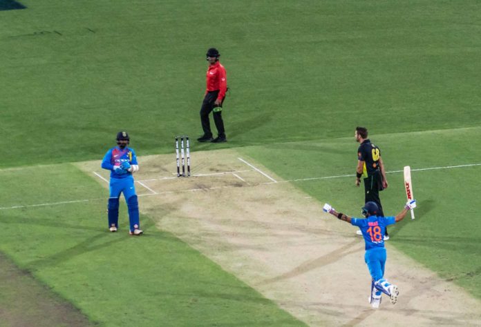 cricket