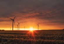 Victoria leads in renewable resources