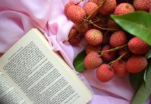 Europe Ideal for Fresh Lychee Trade but Logistics an Issue