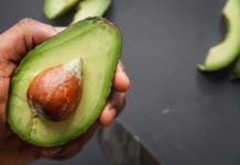 Shepard Avocado Rewarded with its Own Festival