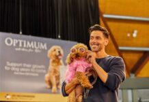 Dog Lovers Festival marks a decade with a tail-wagging extravaganza